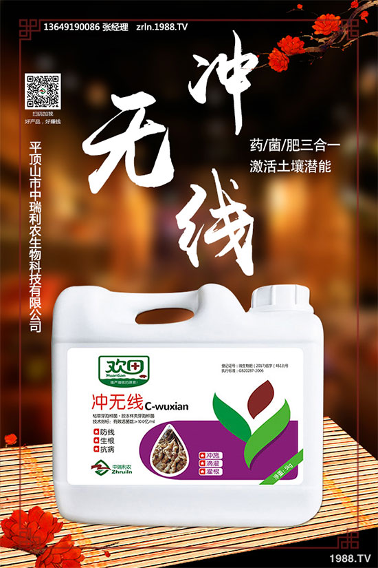 如何進行黑木耳定植與發(fā)菌管理？黑木耳種植注意事項！