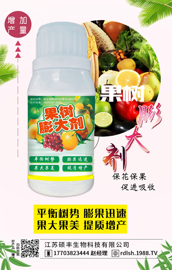 黑木耳的功效與作用，黑木耳的飲食禁忌有哪些？