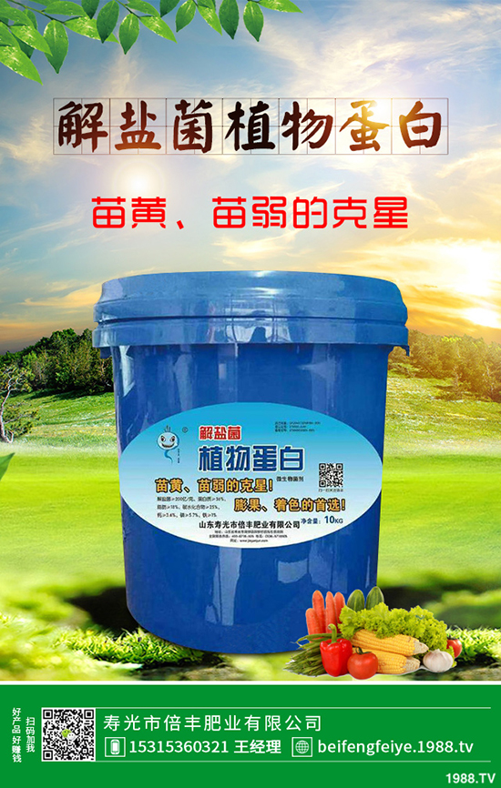 芹菜立枯病時如何引起的？該怎樣預(yù)防？芹菜立枯病大預(yù)防措施