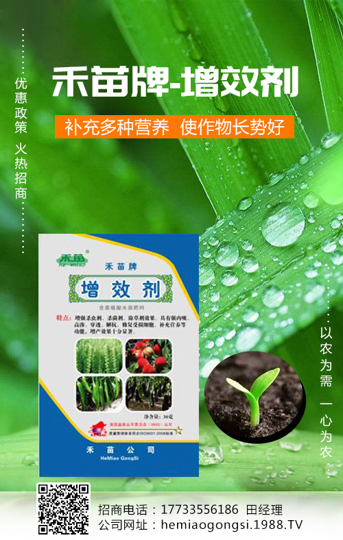 香瓜種植管理做好這些，產(chǎn)量收益有