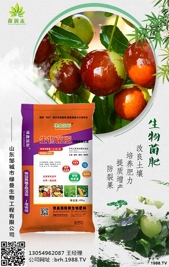 甘蔗是如何種植的，秋植蔗栽培技術(shù)要點有哪些？