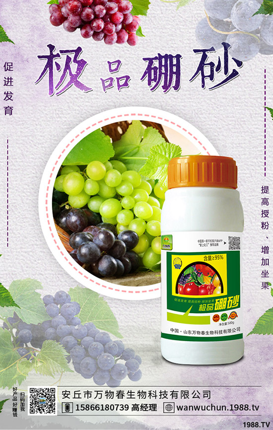 �����ηNֲ����轷Nֲ�l������Щ��