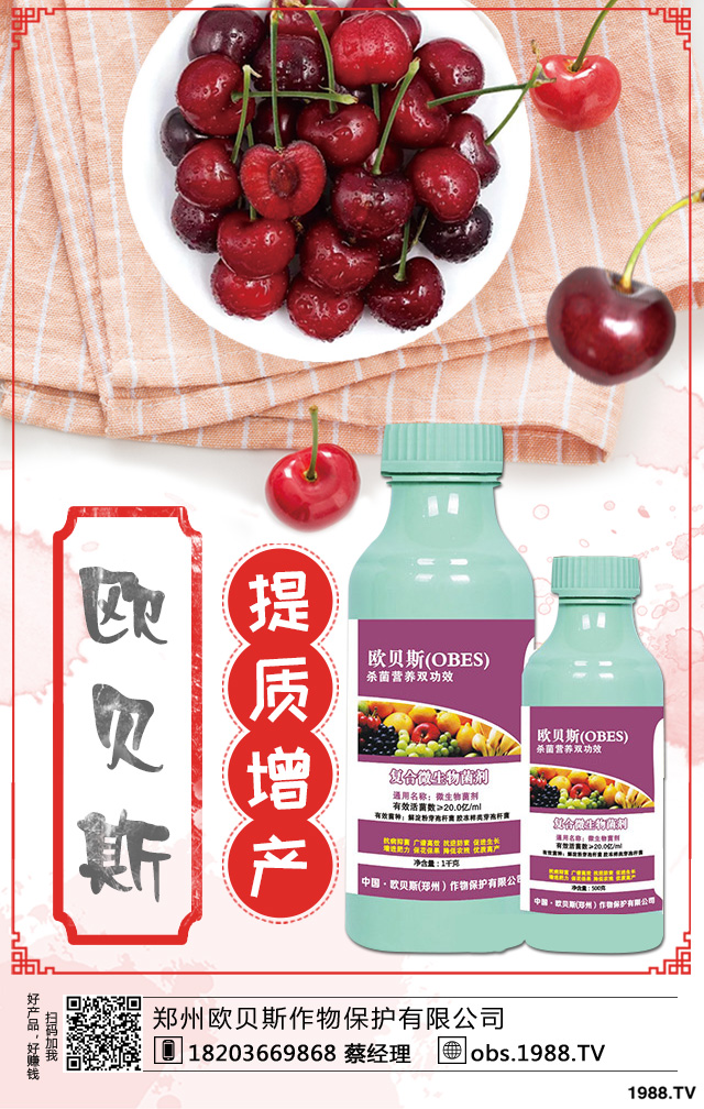 西洋梨如何種植？西洋梨樹栽培技術(shù)