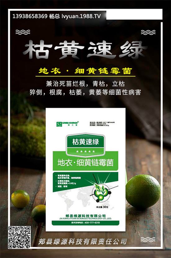 芹菜早疫病有哪些危害？是如何發(fā)生的？芹菜早疫病的發(fā)生與防治