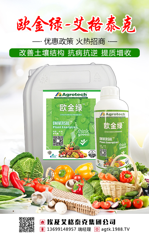 不要盲目施肥了，茶葉需要吃對(duì)糧！