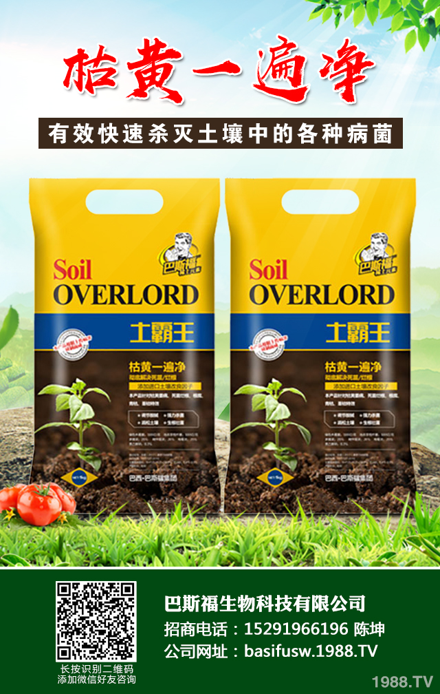 小麥葉子發(fā)黃怎么辦？小麥葉子發(fā)黃防治技巧