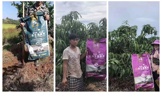 【微生物菌劑+有機(jī)肥】效果牛逼！施一遍頂三遍，省力又高產(chǎn)！