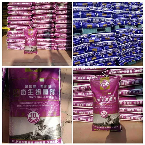 【微生物菌劑+有機(jī)肥】效果牛逼！施一遍頂三遍，省力又高產(chǎn)！