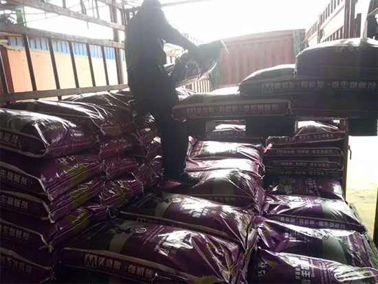 【微生物菌劑+有機(jī)肥】效果牛逼！施一遍頂三遍，省力又高產(chǎn)！