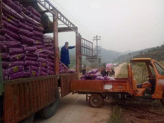 【微生物菌劑+有機(jī)肥】效果牛逼！施一遍頂三遍，省力又高產(chǎn)！