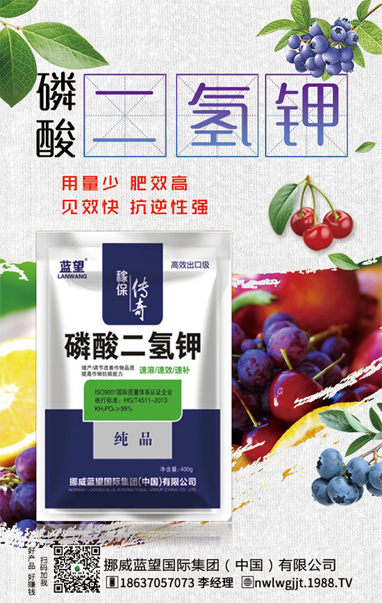 秋茬西紅柿定植注意事項(xiàng)，秋茬西紅柿膨果期管理方法