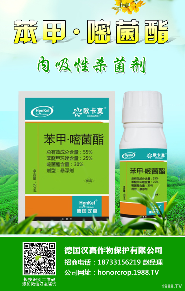 辣椒爛果病怎么辦？關(guān)于辣椒爛果病防治措施