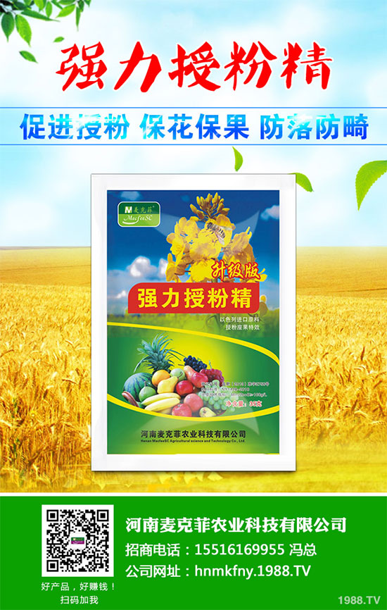 �������Щ�I(y��ng)�B(y��ng)�r(ji��)ֵ���Խ������Щ��̎����˵Ĺ�Ч�c����