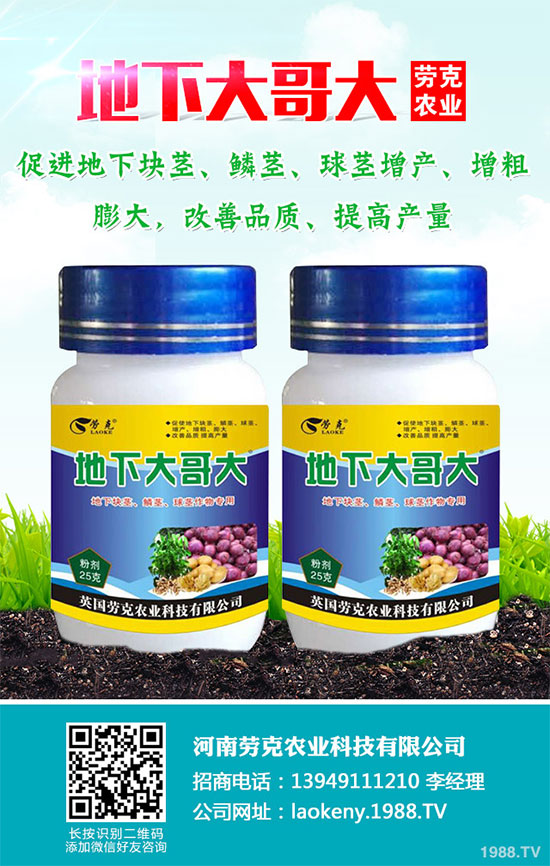 �������Щ�I(y��ng)�B(y��ng)�r(ji��)ֵ���Խ������Щ��̎����˵Ĺ�Ч�c����