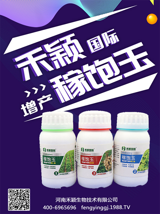 秋葵種植和收獲時間，秋葵種植的生長環(huán)境！