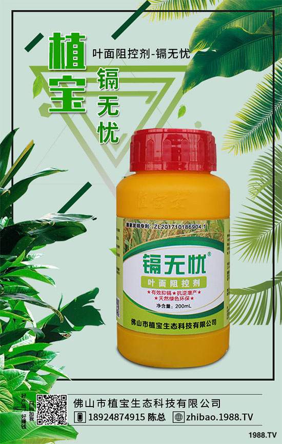 秋季大蔥什么時(shí)間種植？2019秋茬大蔥種植技術(shù)指南