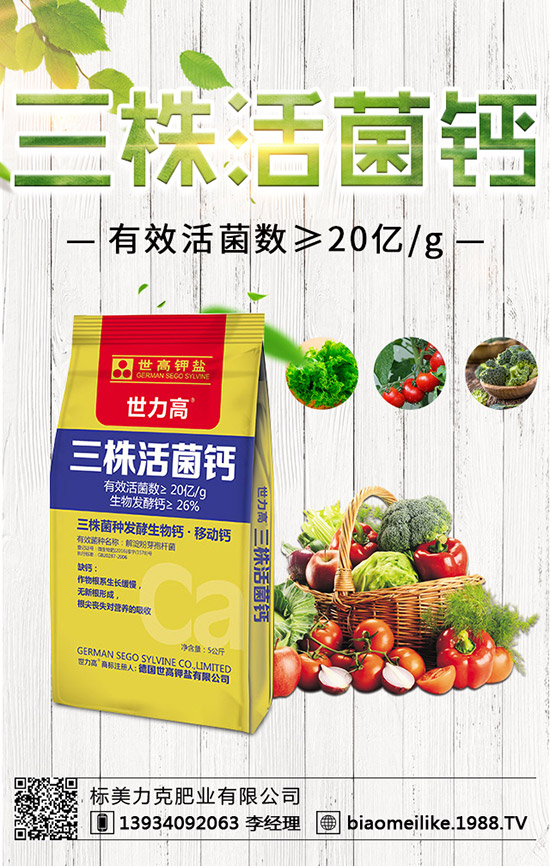 秋黃瓜什么時候栽培好，秋黃瓜栽培的注意事項(xiàng)！