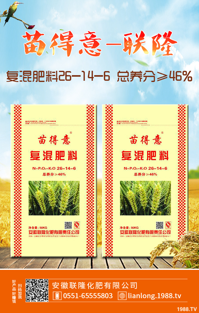 小麥怎么管理效果好？小麥成熟期田間管理