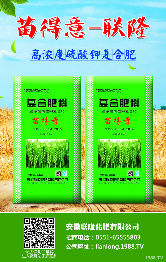 小麥怎么管理效果好？小麥成熟期田間管理