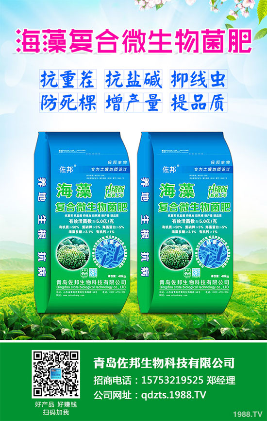 大蔥該如何施肥才能高產(chǎn)？大蔥高產(chǎn)施肥技術(shù)