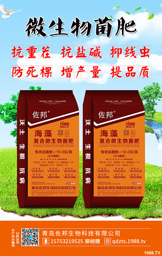 大蔥該如何施肥才能高產(chǎn)？大蔥高產(chǎn)施肥技術(shù)