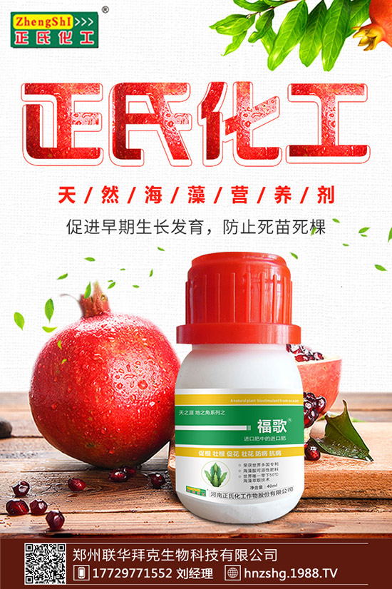 金銀花有什么作用，金銀花的功效與食用禁忌！