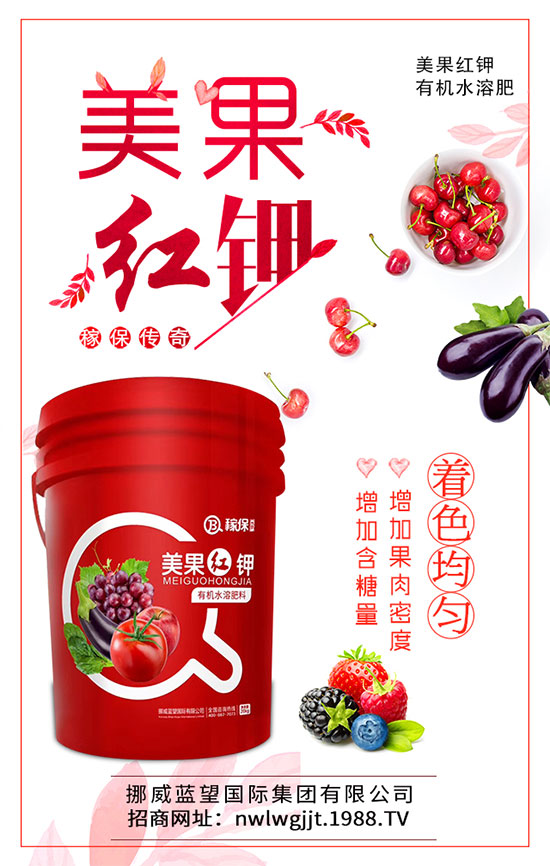 蓮藕什么時候種植？蓮藕種植技術要點！