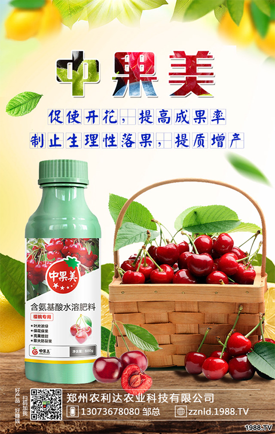 ��ʲô�r(sh��)��N�Nֲ���𽷷NֲҪ�c(di��n)��