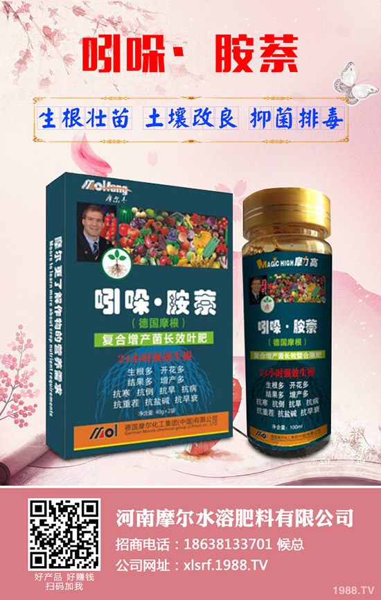 蓮藕怎樣才能高產(chǎn)，蓮藕的高產(chǎn)管理技術