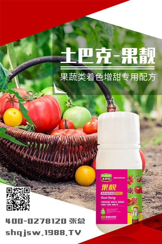 南瓜種植時(shí)間是什么時(shí)候？南瓜的播種方法及栽培技術(shù)!