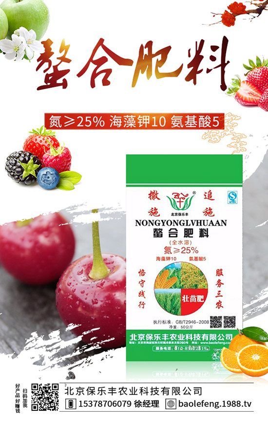 西紅柿如何打葉，西紅柿打葉技巧及注意事項