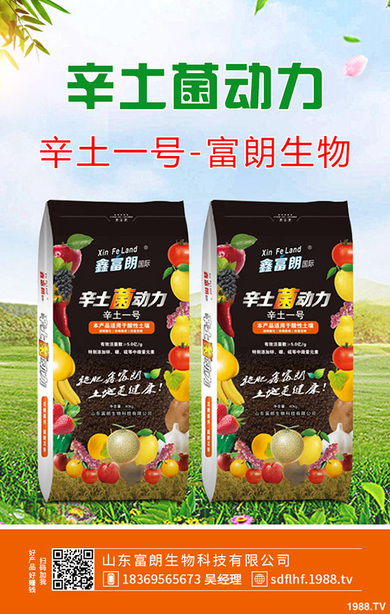 芹菜種植那種比較合適？那種品種收益高？芹菜優(yōu)良品種推薦！