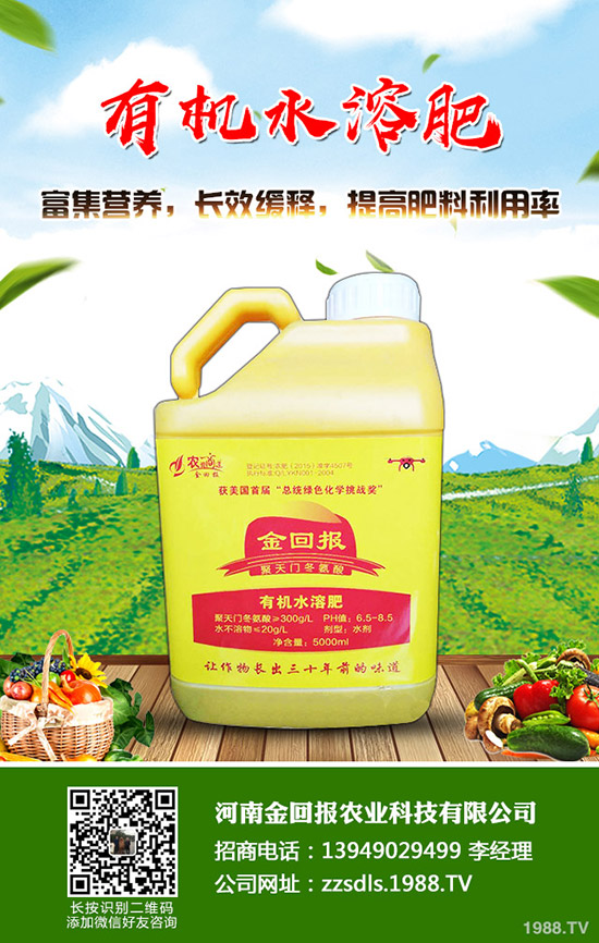 苦蕎麥什么時候種植？苦蕎麥高產(chǎn)種植技術(shù)！