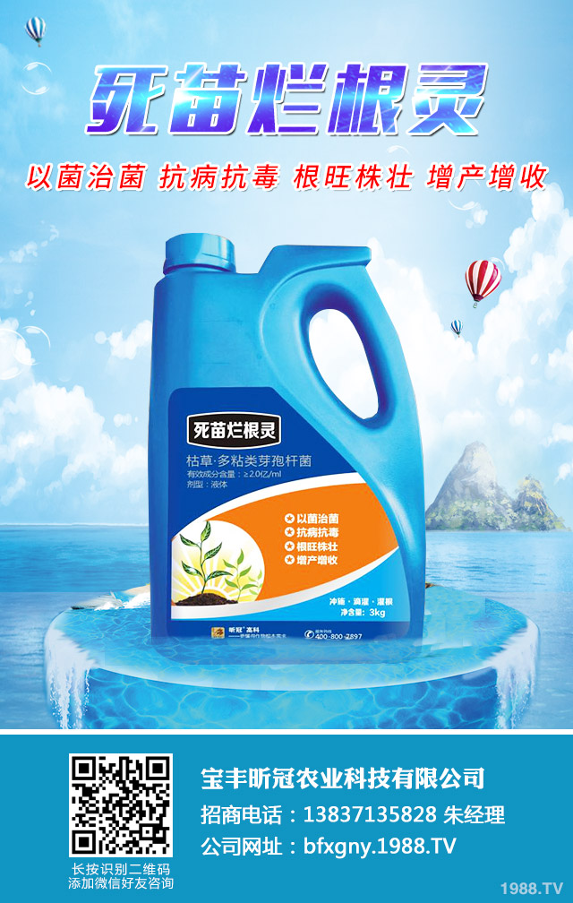 水稻爛秧有什么解決方法？水稻爛秧解決方法