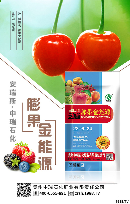 萵苣該如何育苗？萵苣苗期管理技術(shù)要點(diǎn)