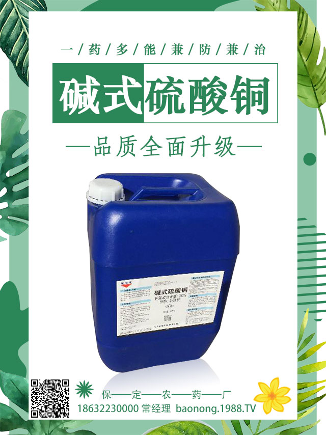 馬鈴薯病害怎么防治？馬鈴薯主要病害防治