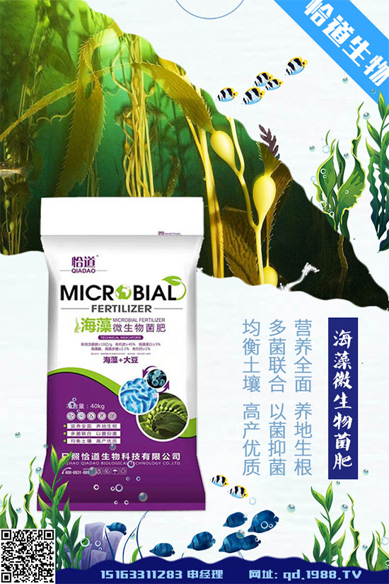 大豆空莢是什么原因造成的？大豆空莢預(yù)防措施！