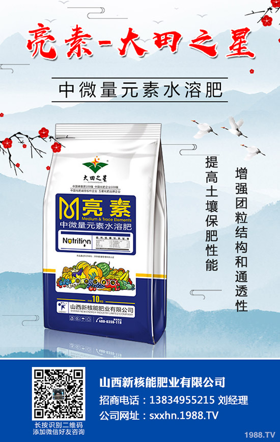 秋季蔬菜如何育苗？秋季常用的育苗的小方法及技術(shù)！