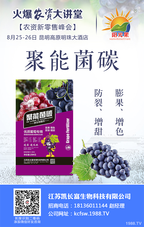 豌豆什么時(shí)候種植？該怎么種？豌豆種植時(shí)間及種植技術(shù)要點(diǎn)