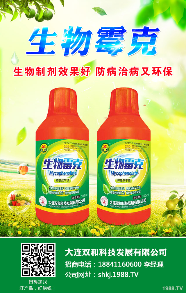 西瓜霜霉病怎么辦？西瓜霜霉病的防治很關(guān)鍵