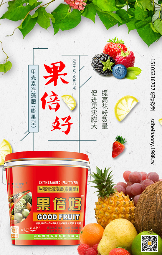 圣女果什么時間種植？圣女果種植技術(shù)要點有哪些？