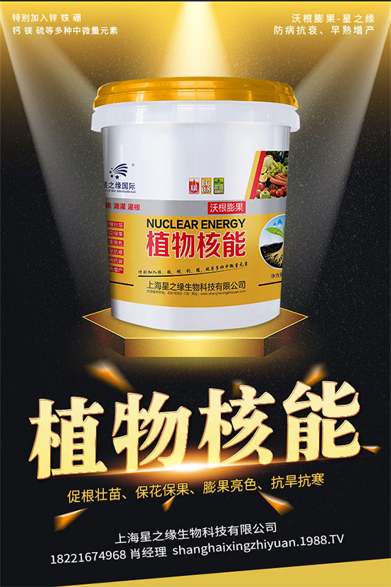 如何選擇辣椒種子？辣椒品種有哪些？