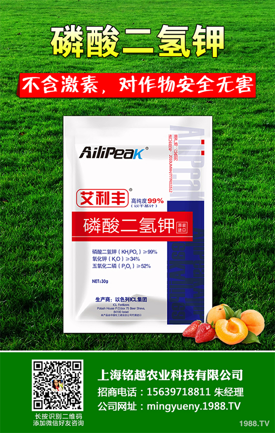 豌豆根腐病有哪些危害表現(xiàn)？該怎樣防治？豌豆根腐病防治方法