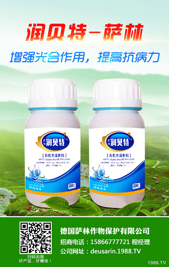 生姜的種植時間，生姜高產(chǎn)種植技術(shù)！