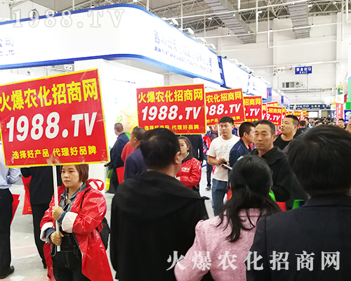     2019��ʮ�����L��ֲ�������r���˰���ͦ��