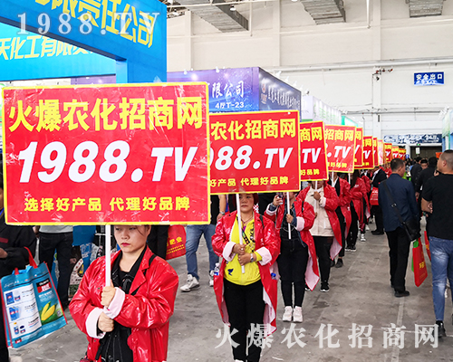 2019�L��ֲ���������r(n��ng)���W(w��ng)�����ƏV�ݲ��ɓ���