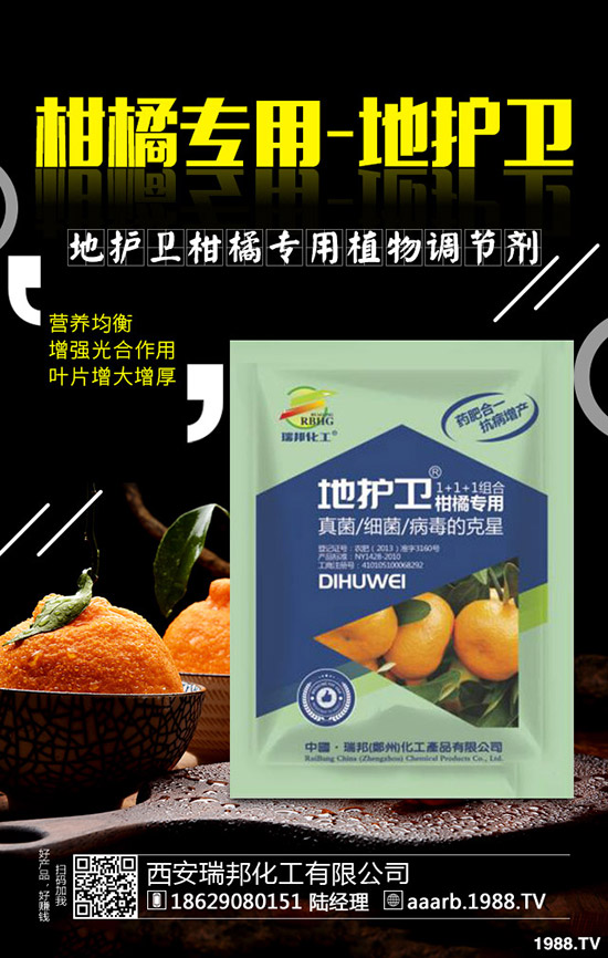 香菜種子如何催芽，香菜提高出苗率的好方法！