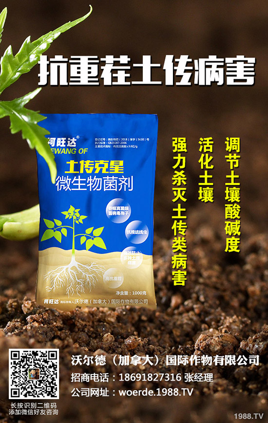茄子什么時(shí)候育苗，茄子育苗的方法有哪些？