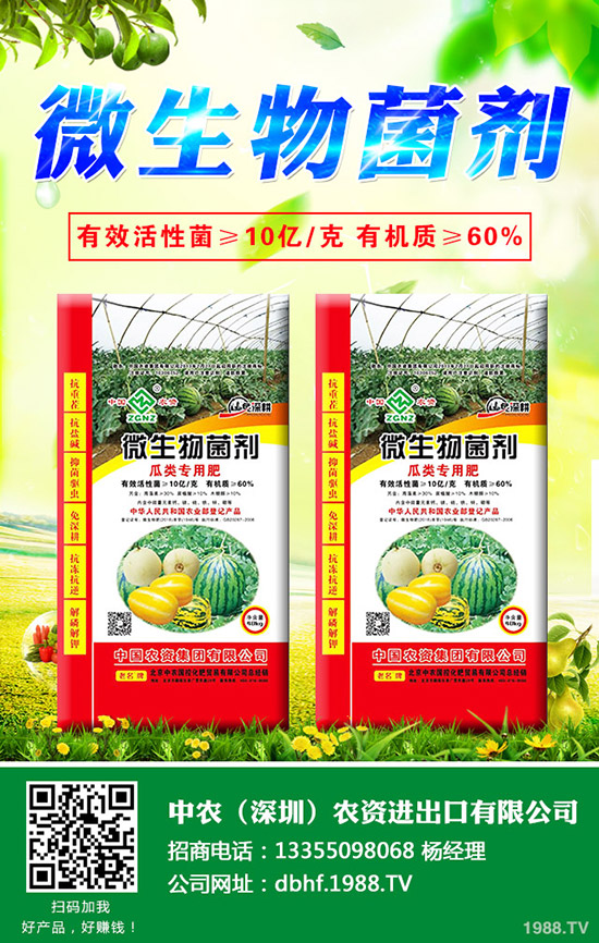 大白菜爛心是什么原因，大白菜爛心防治措施！