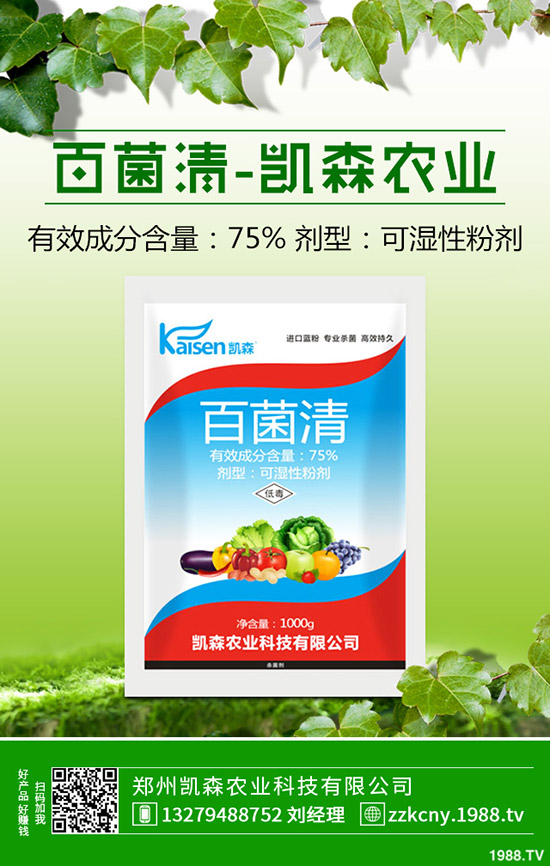 板栗樹種植后怎么管理？板栗種植的管理技術！